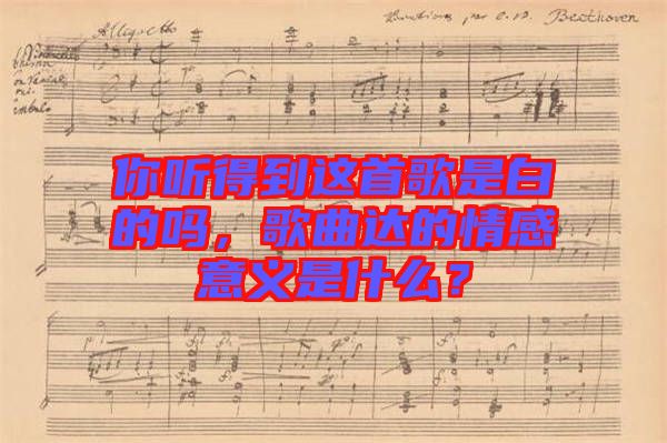 你聽得到這首歌是白的嗎，歌曲達(dá)的情感意義是什么？