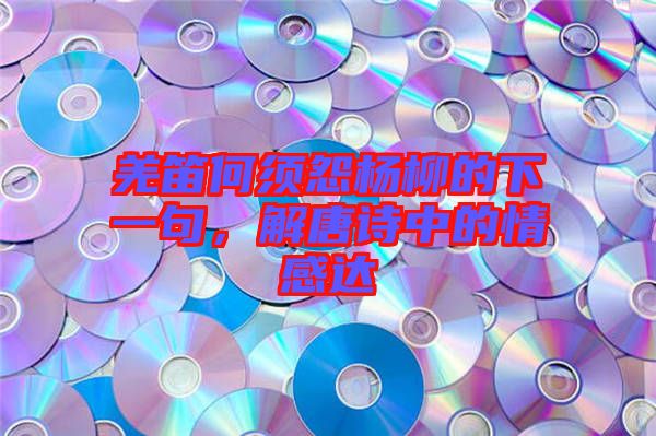 羌笛何須怨楊柳的下一句，解唐詩(shī)中的情感達(dá)