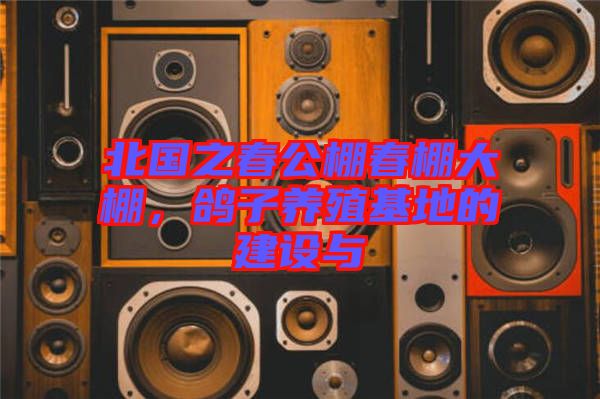 北國(guó)之春公棚春棚大棚，鴿子養(yǎng)殖基地的建設(shè)與