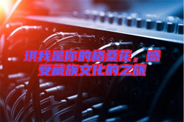 琪我是你的格桑花，感受藏族文化的之旅