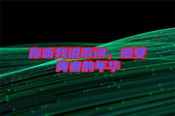 你聽(tīng)我說(shuō)歌詞，感受青春的年華