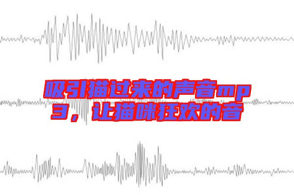 吸引貓過來的聲音mp3，讓貓咪狂歡的音