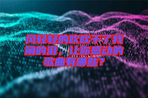 風(fēng)輕輕的吹吹干了我角的淚，讓你感動(dòng)的歌曲有哪些？