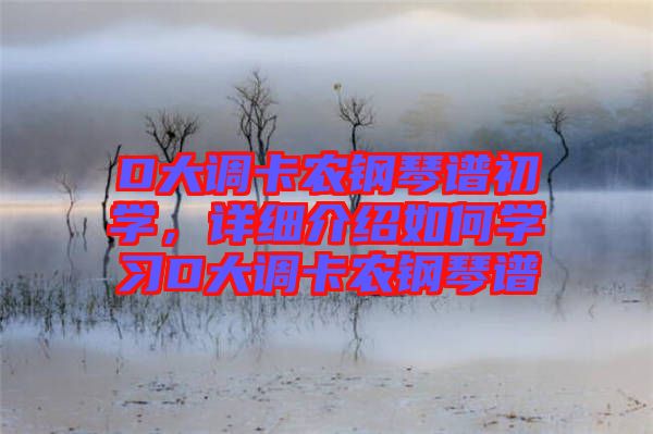 D大調(diào)卡農(nóng)鋼琴譜初學(xué)，詳細(xì)介紹如何學(xué)習(xí)D大調(diào)卡農(nóng)鋼琴譜