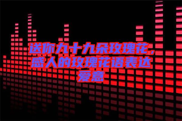 送你九十九朵玫瑰花，感人的玫瑰花語表達愛意