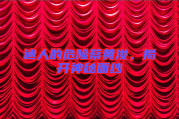 迷人的危險蔡黃汝，揭開神秘面紗