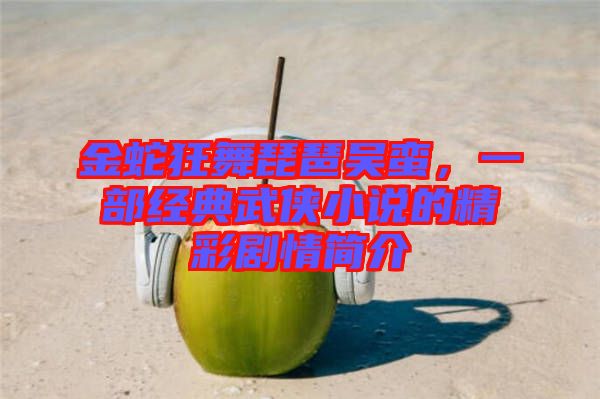 金蛇狂舞琵琶吳蠻，一部經(jīng)典武俠小說(shuō)的精彩劇情簡(jiǎn)介