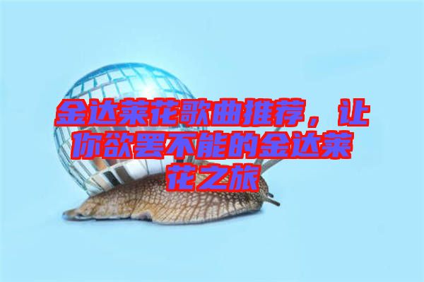 金達(dá)萊花歌曲推薦，讓你欲罷不能的金達(dá)萊花之旅