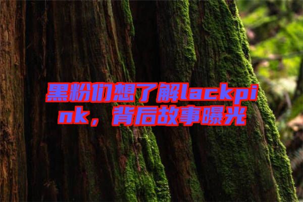 黑粉們想了解lackpink，背后故事曝光