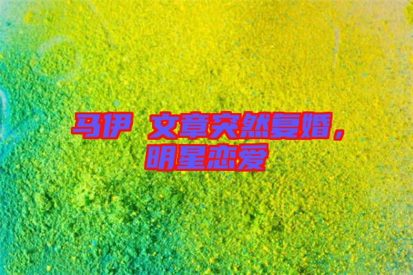 馬伊琍文章突然復婚，明星戀愛