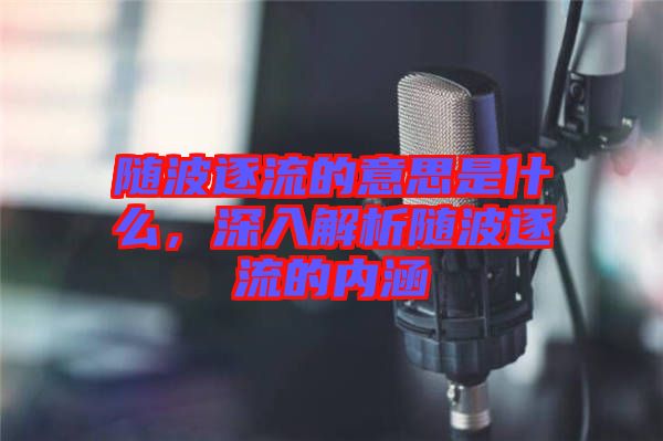 隨波逐流的意思是什么，深入解析隨波逐流的內(nèi)涵