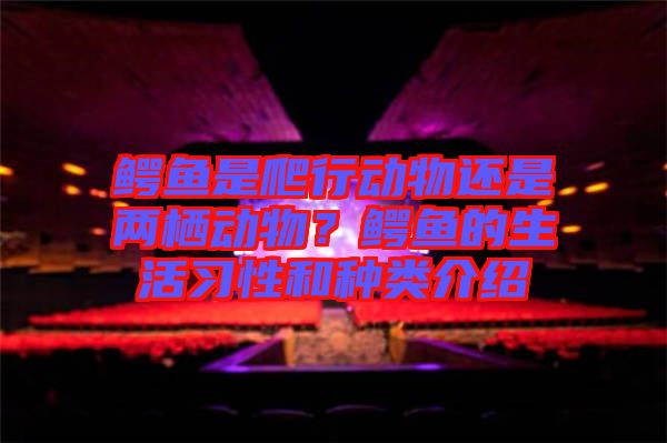 鱷魚(yú)是爬行動(dòng)物還是兩棲動(dòng)物？鱷魚(yú)的生活習(xí)性和種類(lèi)介紹