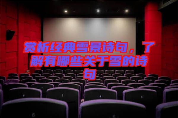 賞析經(jīng)典雪景詩(shī)句，了解有哪些關(guān)于雪的詩(shī)句