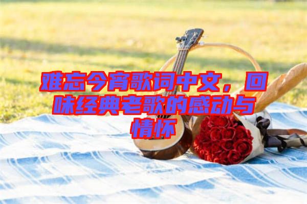 難忘今宵歌詞中文，回味經(jīng)典老歌的感動與情懷