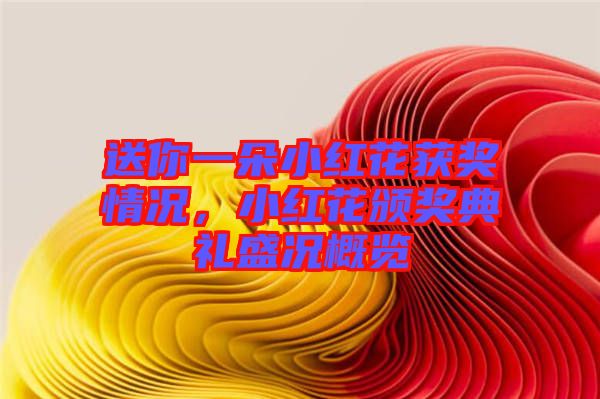 送你一朵小紅花獲獎情況，小紅花頒獎典禮盛況概覽