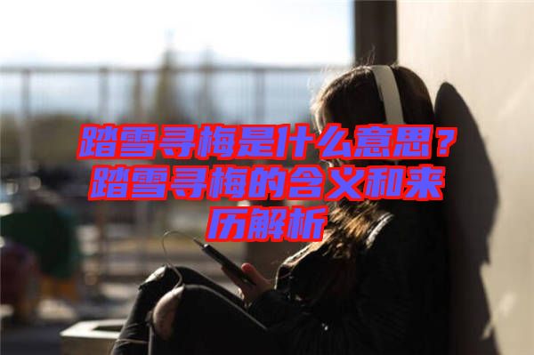 踏雪尋梅是什么意思？踏雪尋梅的含義和來(lái)歷解析