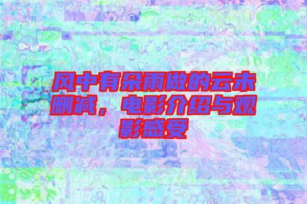 風(fēng)中有朵雨做的云未刪減，電影介紹與觀影感受