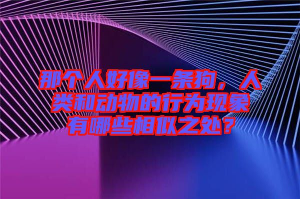 那個人好像一條狗，人類和動物的行為現(xiàn)象有哪些相似之處？