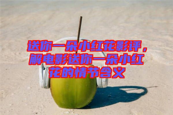 送你一朵小紅花影評，解電影送你一朵小紅花的情節(jié)含義
