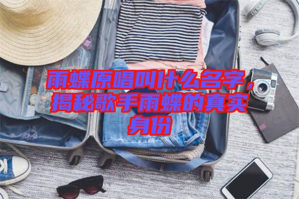雨蝶原唱叫什么名字，揭秘歌手雨蝶的真實身份