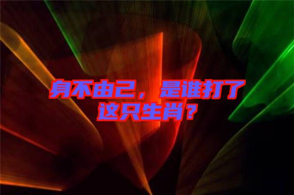 身不由己，是誰打了這只生肖？