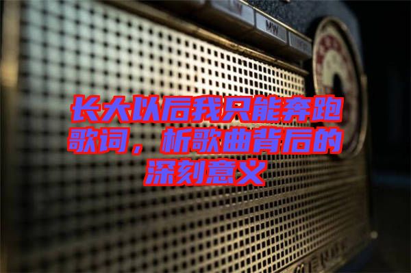 長(zhǎng)大以后我只能奔跑歌詞，析歌曲背后的深刻意義