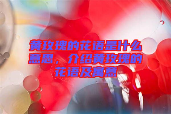 黃玫瑰的花語是什么意思，介紹黃玫瑰的花語及寓意