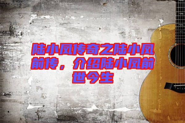 陸小鳳傳奇之陸小鳳前傳，介紹陸小鳳前世今生