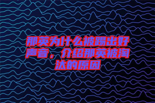 那英為什么被踢出好聲音，介紹那英被淘汰的原因