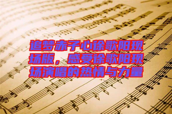 追夢(mèng)赤子心徐歌陽(yáng)現(xiàn)場(chǎng)版，感受徐歌陽(yáng)現(xiàn)場(chǎng)演唱的熱情與力量