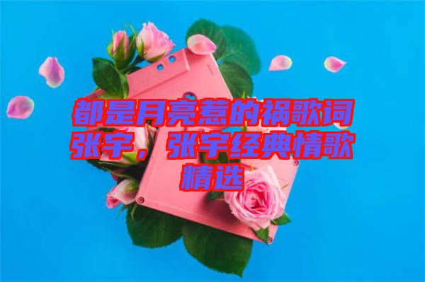 都是月亮惹的禍歌詞張宇，張宇經(jīng)典情歌精選